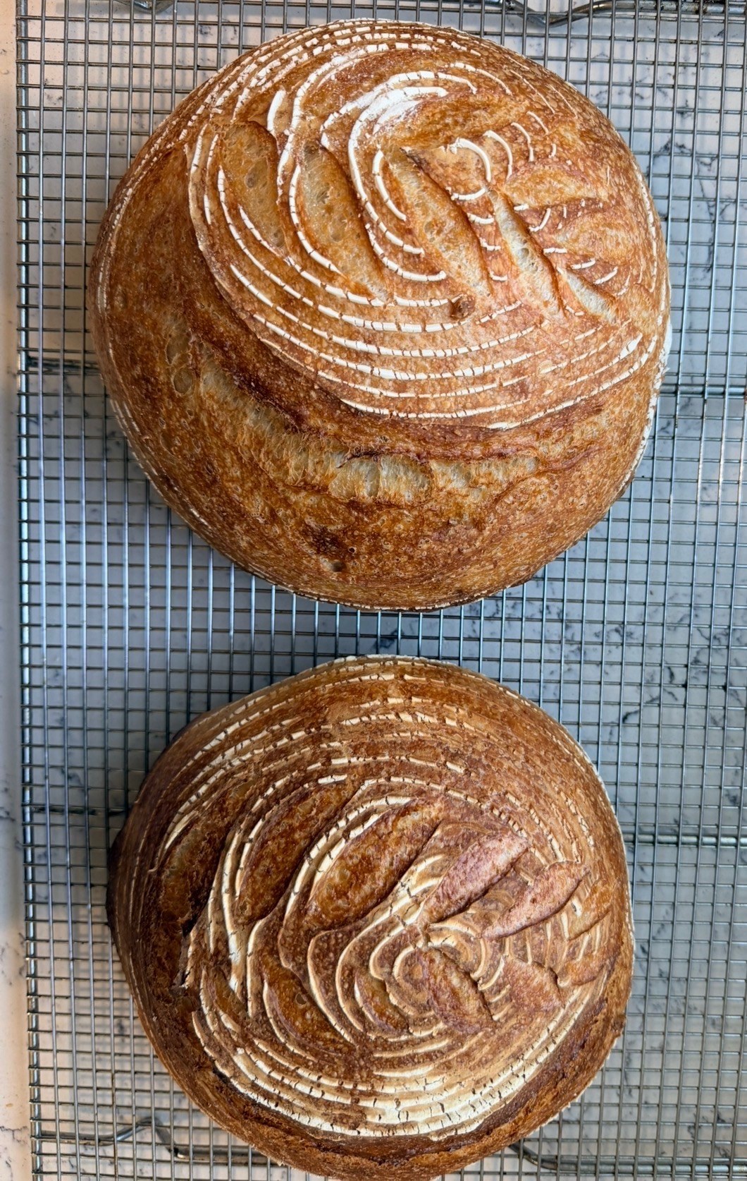 Two golden, flour-dusted boules cooling on a wire rack